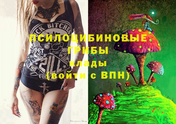 PSILOCYBIN Ладушкин