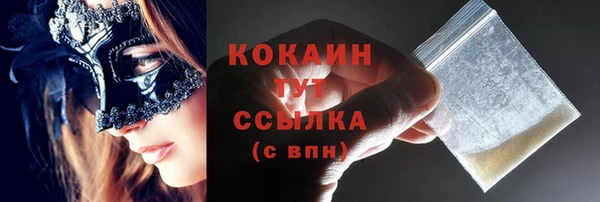 PSILOCYBIN Ладушкин