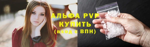 PSILOCYBIN Ладушкин