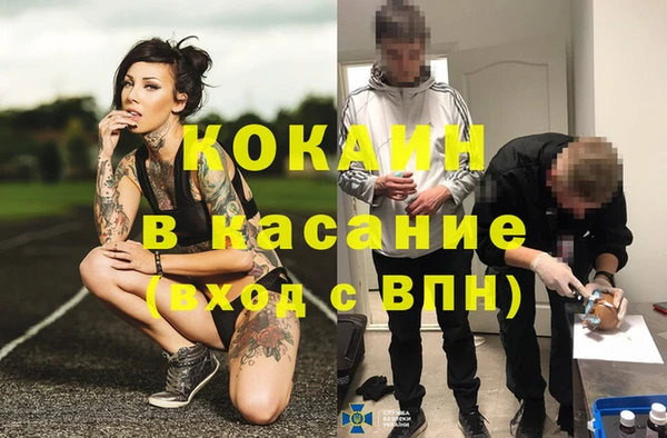 PSILOCYBIN Ладушкин