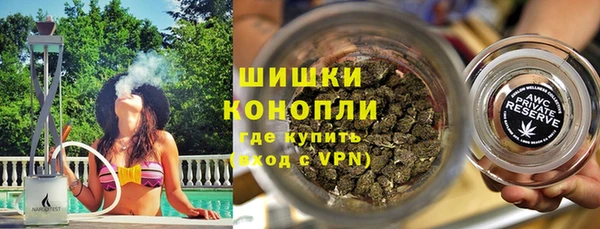 PSILOCYBIN Ладушкин