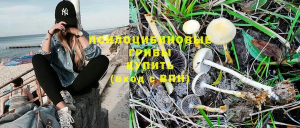 PSILOCYBIN Ладушкин