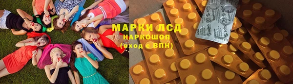 PSILOCYBIN Ладушкин