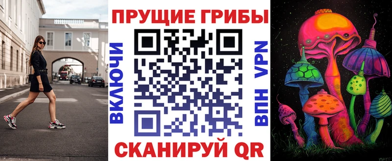 Купить где  Зеленоградск  Галлюциногенные грибы ЛСД 